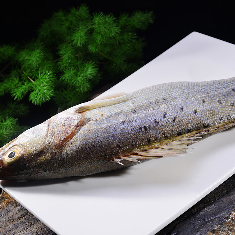 鲈鱼新鲜鲈鱼宰杀后净膛真空发货禾人每条2斤