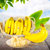 【Dole都乐】菲律宾高地蕉2把装 品质进口新鲜香蕉 单把700g以上超甜蕉（只发津冀北）第5张高清大图