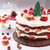 时刻陪你 圣诞·初雪之约新鲜生日蛋糕深圳同城免费配送(2磅)第2张高清大图