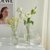ins风透明玻璃水培器皿水养小花瓶创意插花干花鲜花客厅摆件简约第3张高清大图