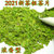 龙井茶2022年新茶明前龙井茶包110包绿茶茶叶袋泡茶办公商用酒店第4张高清大图