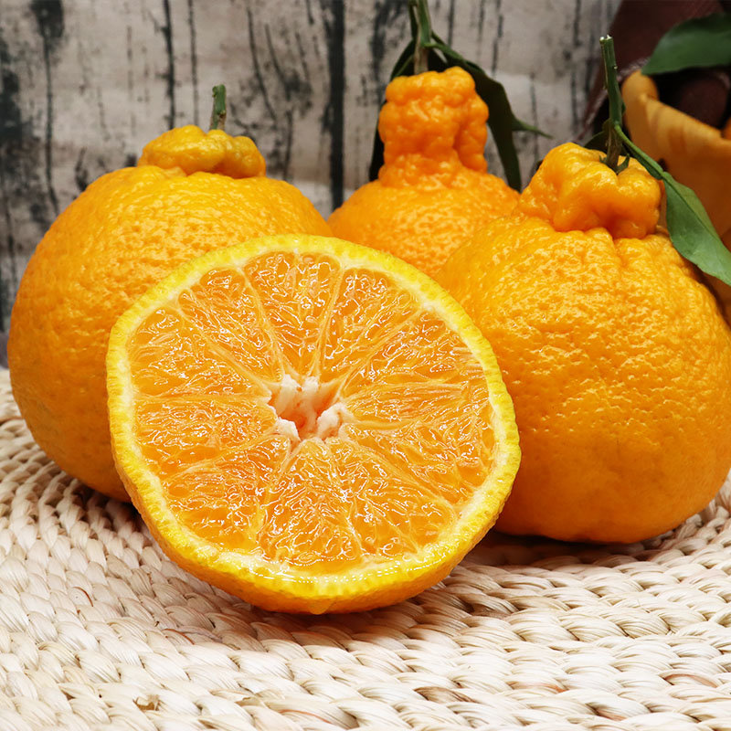 四川蒲江正宗不知火5斤大果装甜美多汁颗粒饱满5斤