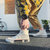 太子龙2019新款男生帆布鞋字母图案瑞安硫化鞋休闲学生布鞋潮流板鞋批发  SXPLH1020(透明 42)第4张高清大图