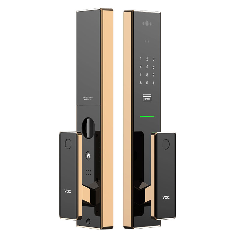voc指纹锁3d人脸识别家用防盗全自动智能锁t8face