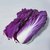 基地直发新鲜特色蔬菜紫色农产品 紫色大白菜5斤装2-3棵 包邮(自定义 自定义)第2张高清大图