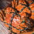 阳澄湖帝一鲜大闸蟹1698型卡劵 母蟹3.2-3.5两 公蟹4.2-4.5两 共10只第2张高清大图