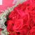 爱*鲜花速递99红玫瑰鲜花生日礼物礼品花束全国广州上海北京花店送花(66枝)第3张高清大图