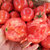 普罗旺斯西红柿5斤  新鲜水果海阳自然熟山东生吃沙瓤大番茄第4张高清大图