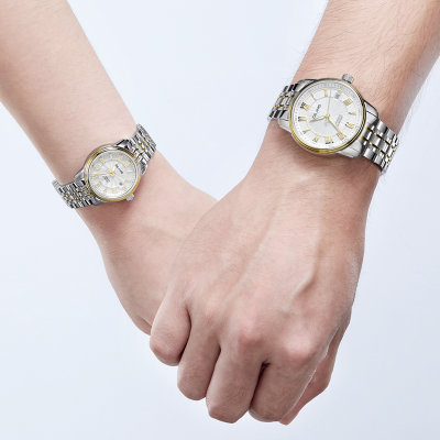 帝浪(DILANG)手表 情侣手表 进口机芯自动机械情侣表V3(白色)