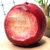 新鲜水蜜桃9斤，现摘现发桃子应季水果(净重9斤 水蜜桃)第4张高清大图