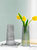 【三件套】小花瓶透明干花满天星创意水培绿萝花瓶摆件客厅插花家(中等)第2张高清大图