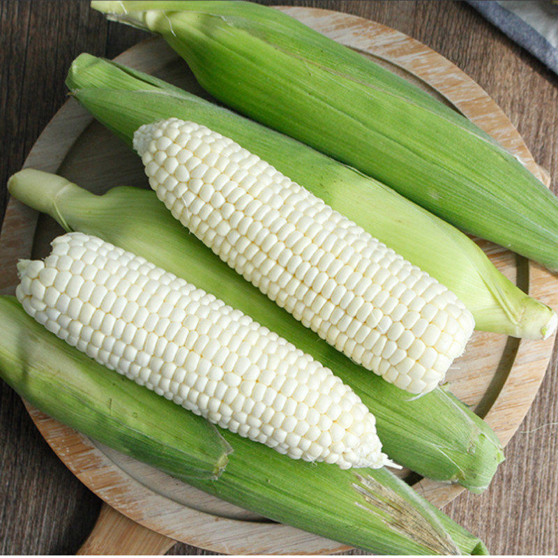 新鲜白糯玉米5斤包邮【2500g】粘糯香甜营养早餐粗粮玉米棒现摘现发