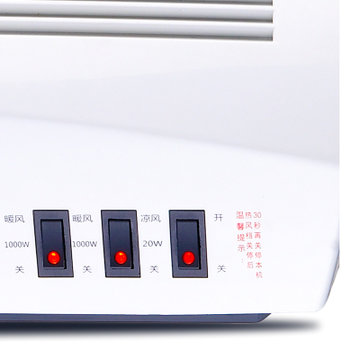 赛亿（shinee) KT-2000 取暖器（台壁两用暖风机，家用电暖器，超大出风口电暖气）