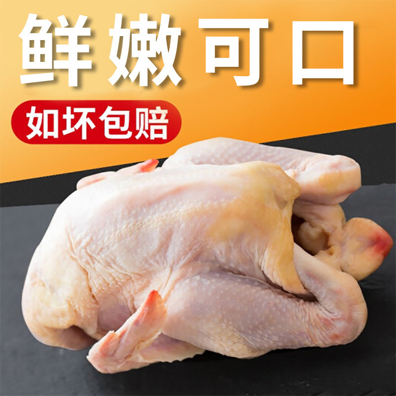 凉亭鸡汇益丰山地农家放养168天以上整只新鲜月子鸡新鲜鸡肉冷冻运输