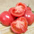 普罗旺斯西红柿5斤  新鲜水果海阳自然熟山东生吃沙瓤大番茄第3张高清大图