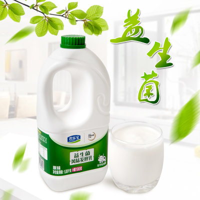 君乐宝酸奶原味益生菌大桶装大瓶装水果捞牛奶1180g*1桶(酸奶 1180g*1桶)